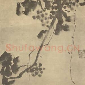 明代 徐渭国画作品《葡萄》摘自 南画大成 卷五