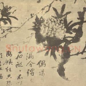 明代 徐渭国画作品《石榴》摘自 南画大成 卷五