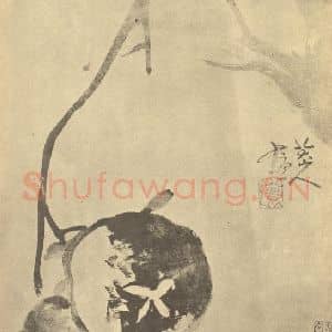 清代 朱耷国画作品《石榴》摘自 南画大成 卷五