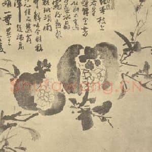 清代 道济国画作品《石榴》摘自 南画大成 卷五