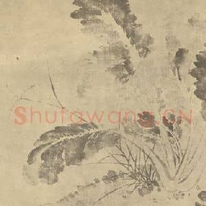 清代 恽寿平国画作品《蔬菜图》摘自 南画大成 卷五