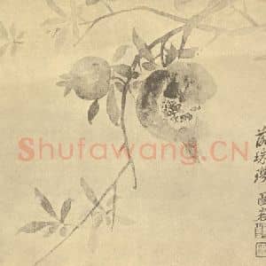 清代 恽寿平国画作品《石榴》摘自 南画大成 卷五