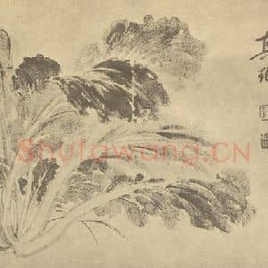 清代 恽寿平国画作品《蔬菜图》摘自 南画大成 卷五