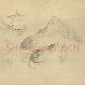 清代 恽寿平国画作品《二蔬》摘自 南画大成 卷五