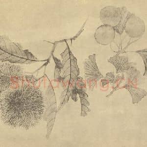 清代 恽寿平国画作品《栗·银杏》摘自 南画大成 卷五