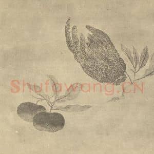 清代 恽寿平国画作品《佛手·橘子》摘自 南画大成 卷五