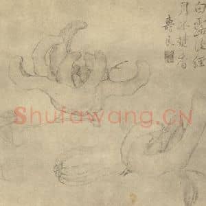 清代 边寿民国画作品《佛手》摘自 南画大成 卷五