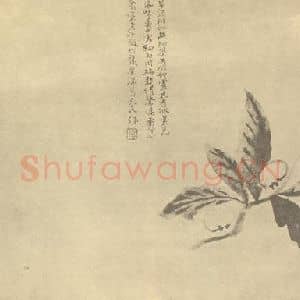 清代 陈撰国画作品《枇杷》摘自 南画大成 卷五