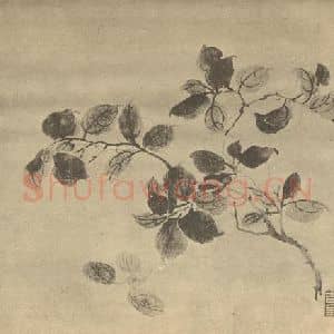 清代 金农国画作品《梅子》摘自 南画大成 卷五