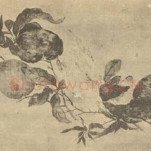 清代 钱东国画作品《三多图》摘自 南画大成 卷五