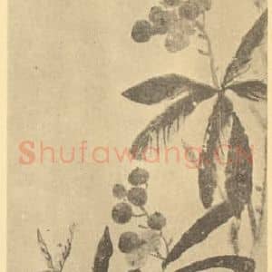 清代 吴熙载国画作品《枇杷》摘自 南画大成 卷五