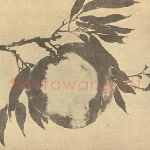 清代 赵之谦国画作品《桃实》摘自 南画大成 卷五