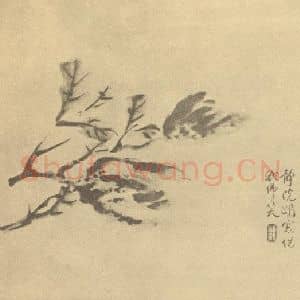 清代 陈豪国画作品《桃实》摘自 南画大成 卷五