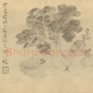 清代 陈豪国画作品《蔬菜》摘自 南画大成 卷五
