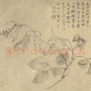 清代 陆恢国画作品《扁豆》摘自 南画大成 卷五