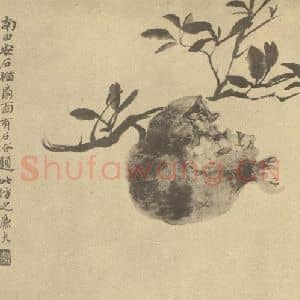 清代 陆恢国画作品《石榴》摘自 南画大成 卷五