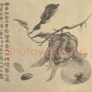 清代 陆恢国画作品《果实》摘自 南画大成 卷五