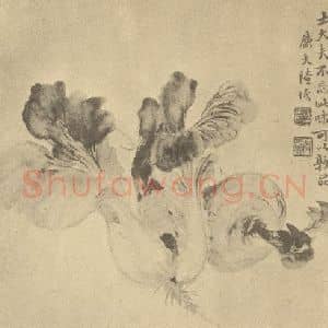 清代 陆恢国画作品《蔬菜》摘自 南画大成 卷五