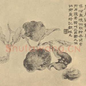 清代 陆恢国画作品《蔬果》摘自 南画大成 卷五
