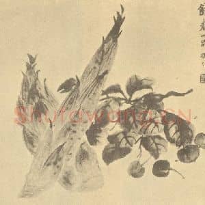 清代 陆恢国画作品《饯春小品》摘自 南画大成 卷五