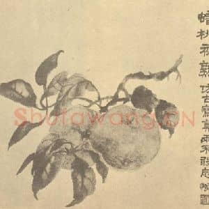 清代 陆恢国画作品《桃实》摘自 南画大成 卷五