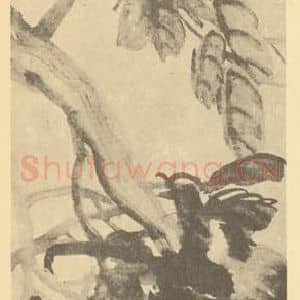 清代 吴昌硕国画作品《石榴》摘自 南画大成 卷五