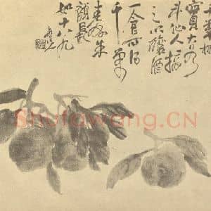 清代 吴昌硕国画作品《桃实》摘自 南画大成 卷五