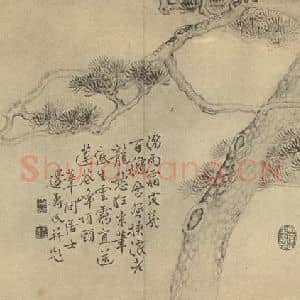 清代 边寿民国画作品《画松》摘自 南画大成 卷五