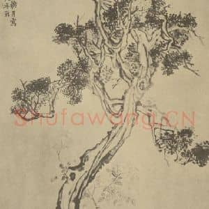 清代 李鳝国画作品《柏石图》摘自 南画大成 卷五