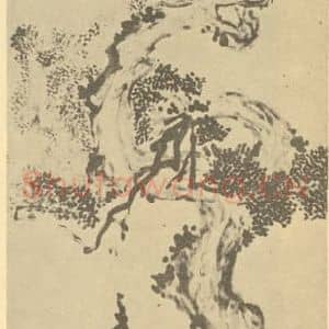 清代 李方膺国画作品《古柏》摘自 南画大成 卷五