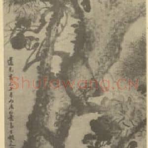 清代 姚元之国画作品《乔松图》摘自 南画大成 卷五
