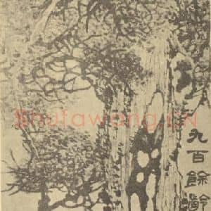 清代 赵之谦国画作品《九百余龄图》摘自 南画大成 卷五