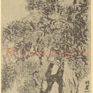 清代 赵之谦国画作品《古柏图》摘自 南画大成 卷五