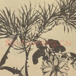 清代 赵之谦国画作品《松菊》摘自 南画大成 卷五