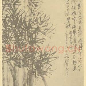 清代 吴昌硕国画作品《画松》摘自 南画大成 卷五