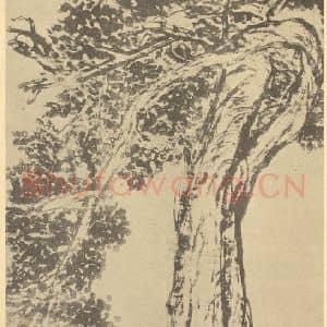 清代 吴昌硕国画作品《古柏图》摘自 南画大成 卷五