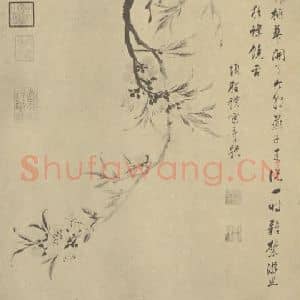 明代 项圣谟国画作品《桃花》摘自 南画大成 卷五