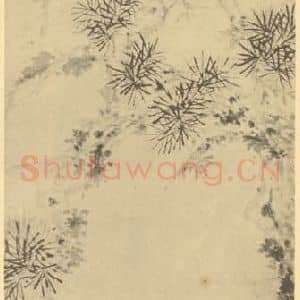 明代 陈淳国画作品《松菊图》摘自 南画大成 卷五