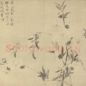 清代 邹一桂国画作品《桃花》摘自 南画大成 卷五