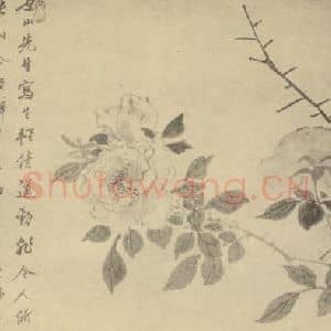 清代 王武国画作品《蔷薇》摘自 南画大成 卷五