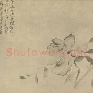 清代 陈撰国画作品《蔷薇》摘自 南画大成 卷五
