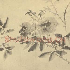 清代 张赐宁国画作品《蔷薇》摘自 南画大成 卷五