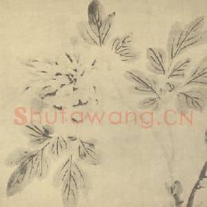 明代 陈淳国画作品《牡丹》摘自 南画大成 卷五