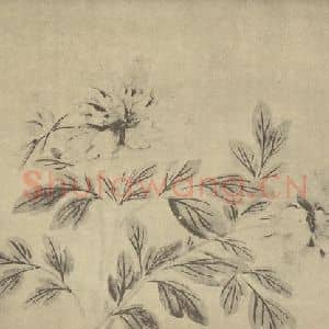 明代 陈淳国画作品《牡丹》摘自 南画大成 卷五