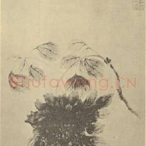 明代 陆治国画作品《牡丹》摘自 南画大成 卷五