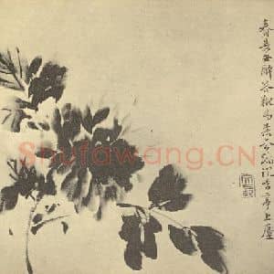 明代 徐渭国画作品《牡丹》摘自 南画大成 卷五