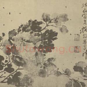 明代 徐渭国画作品《牡丹》摘自 南画大成 卷五