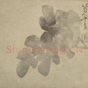 清代 朱耷国画作品《牡丹》摘自 南画大成 卷五