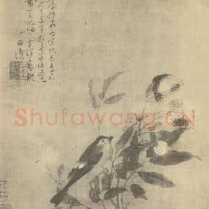 五代代 黄筌国画作品《荔枝图》摘自 南画大成 卷六