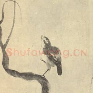 清代 朱耷国画作品《疏树栖鸟图》摘自 南画大成 卷六